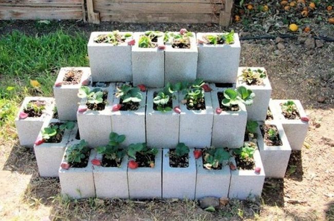 Concrete Blocks, Stacked Gardens