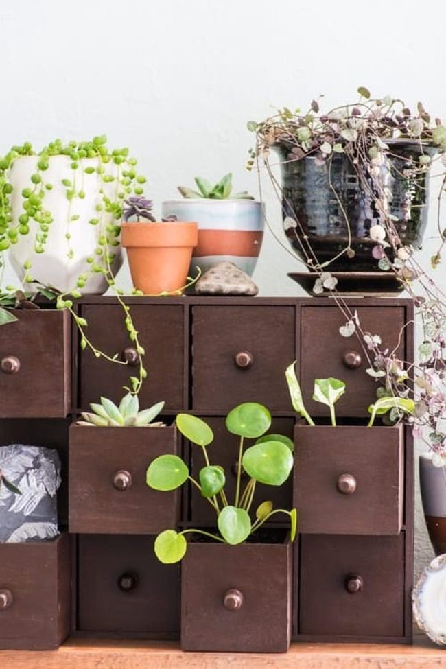 Wooden Drawers Into Herb Gardens