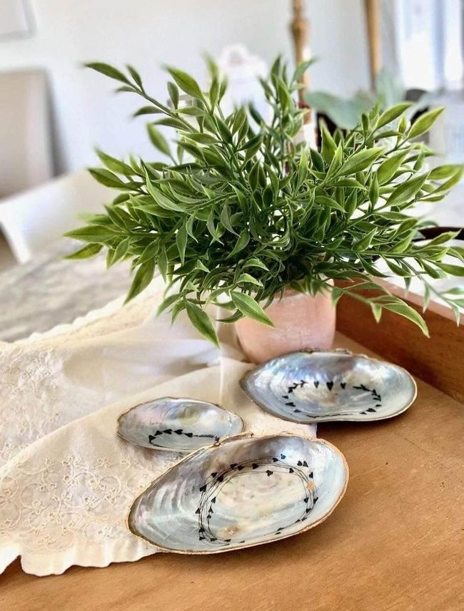 Oyster Shell Storage Dishes