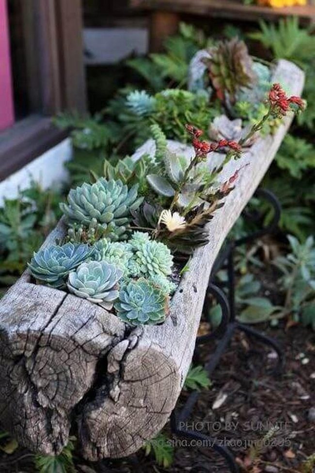 Weathered Wood Succulent Planter