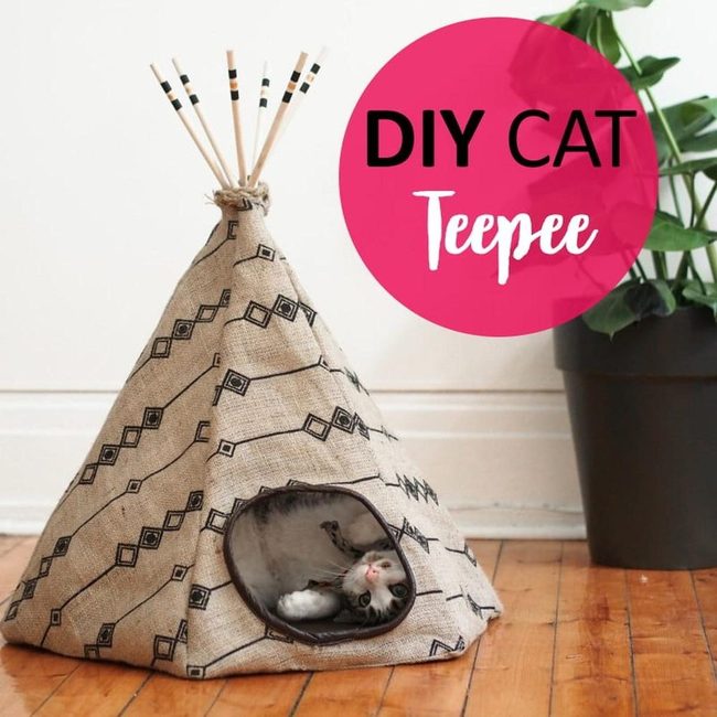 Wooden Frame Cat Tent