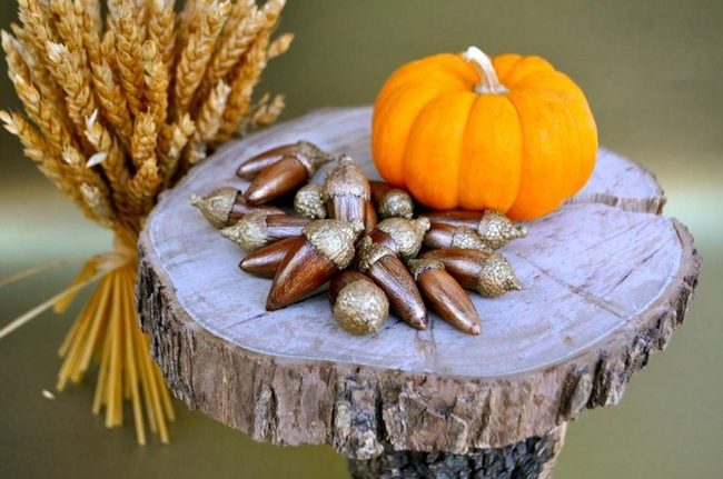 Golden Acorns On Weathered Wood