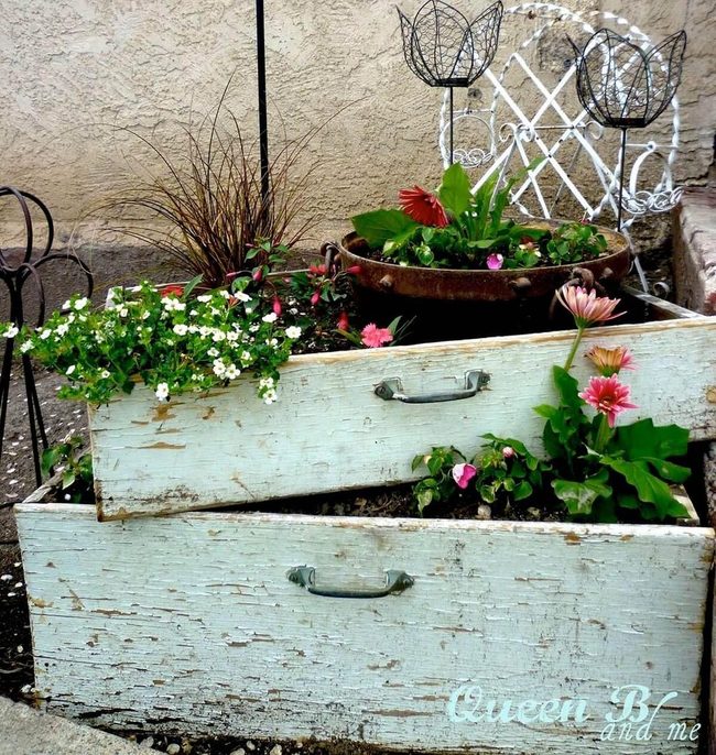 Drawer Garden Bursting With Blooms