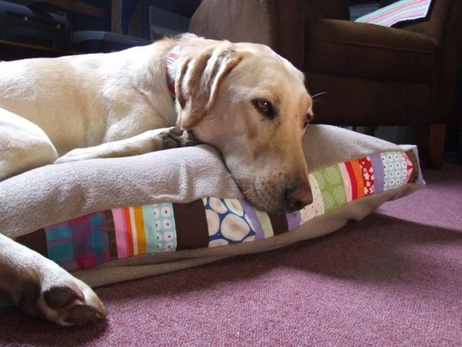 Patchwork Pillows With Warm Rugs