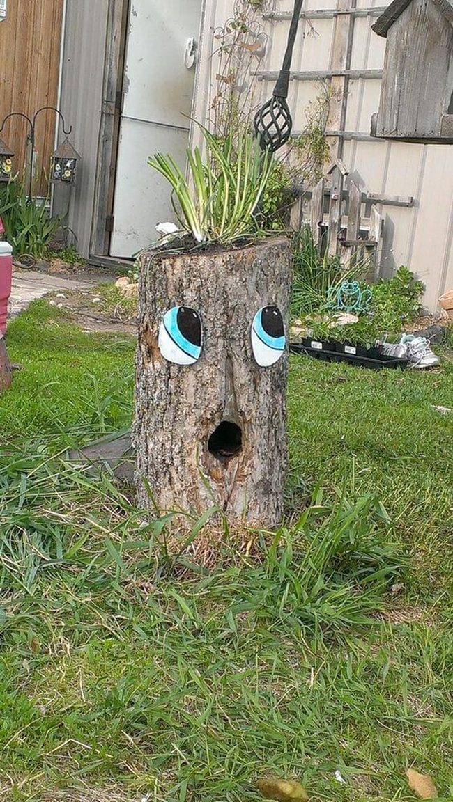 Painted Tree Stumps With Personality