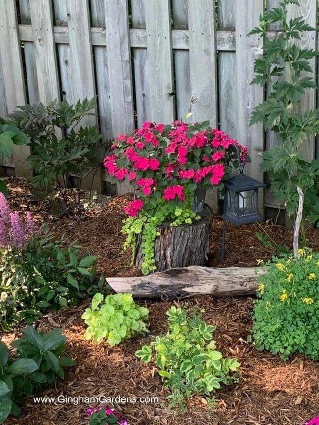 Weathered Log Flower Beds