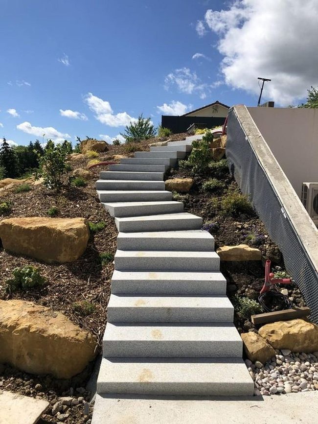 Stone Steps Through Wild Garden