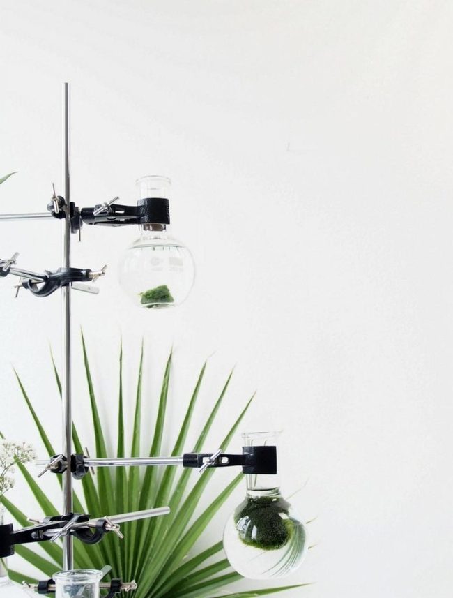 Metallic Glass Plant Stands
