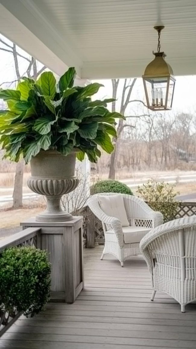 Concrete Boxes With Geometric Plants