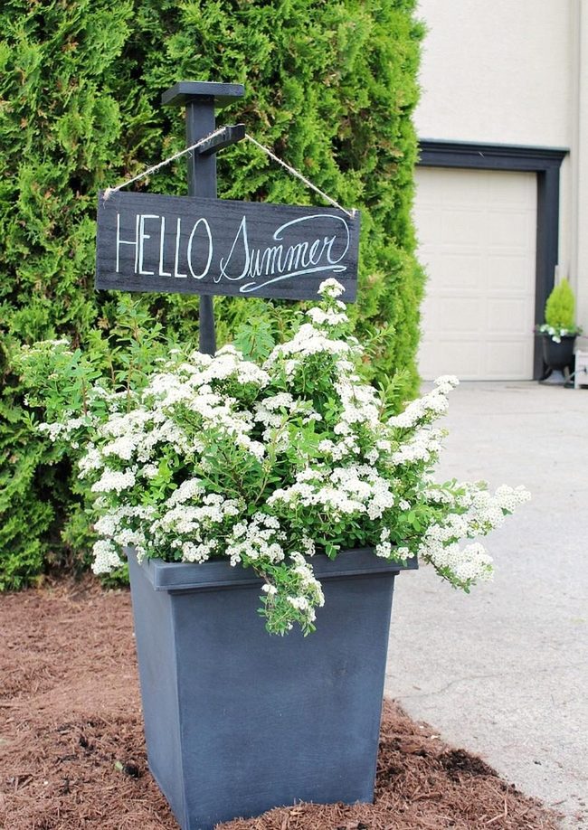 White Flowers Gray Planter Summer