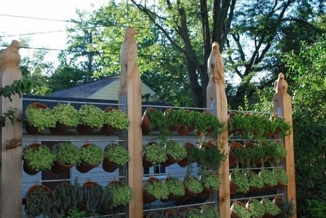 Living Walls Block Neighbors