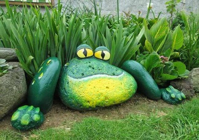 Green And Yellow Garden Frog