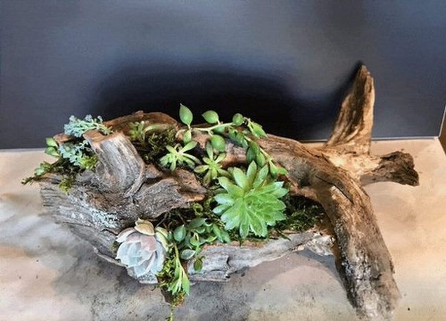 Weathered Cedar Planter Logs