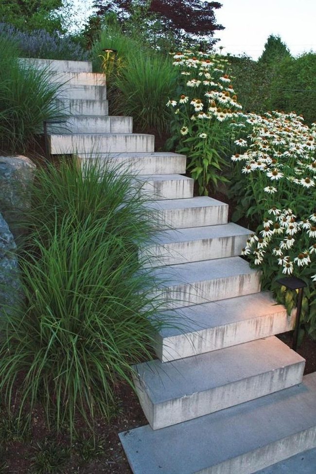 Stone Steps Through White Flowers