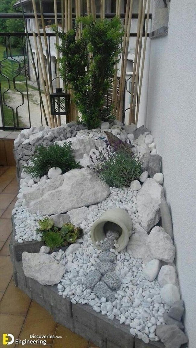 White Pebbles Green Plants Garden