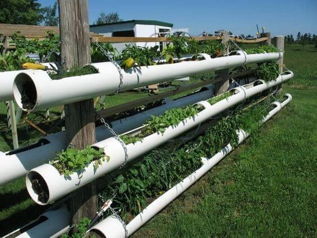 White Pvc Tower Gardens