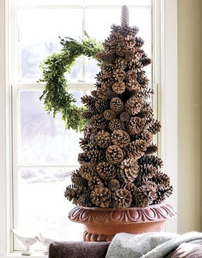 Pinecone Tree Steals The Show