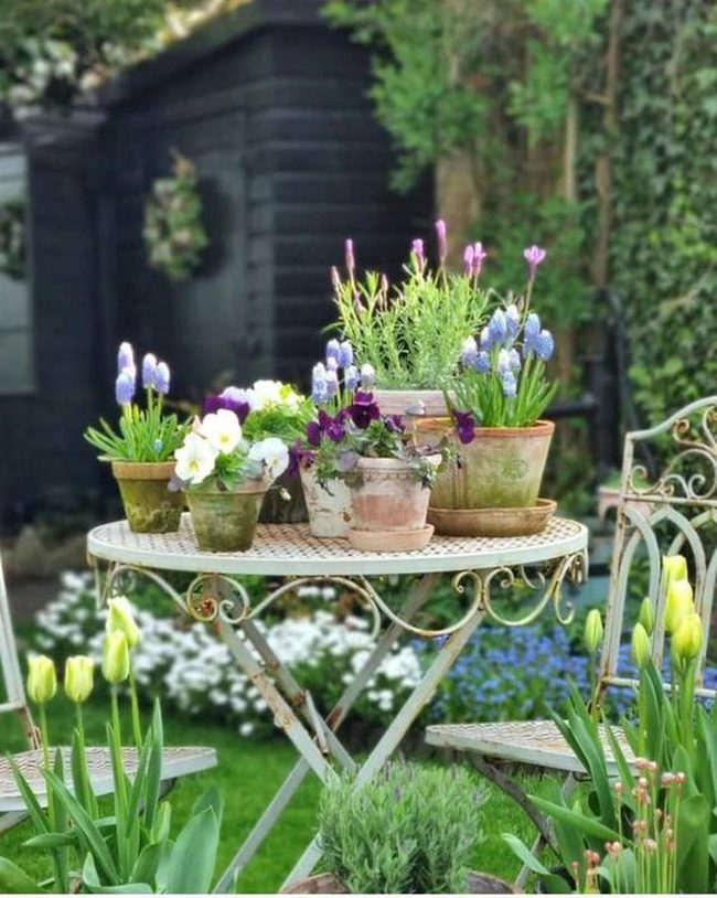 Flowering Pots Tea Garden