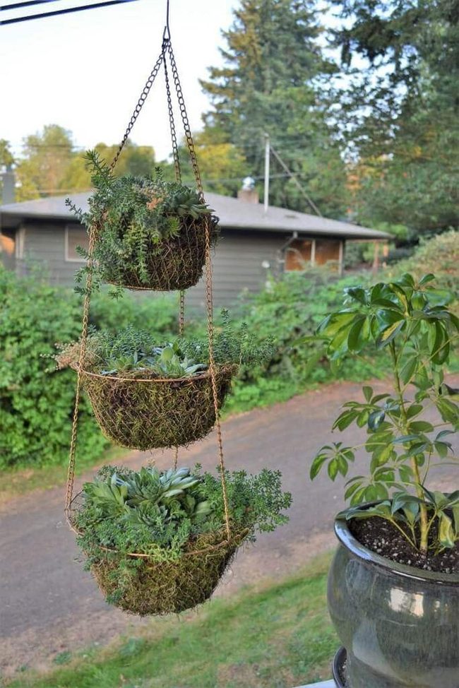 Cascading Layers Vertical Garden
