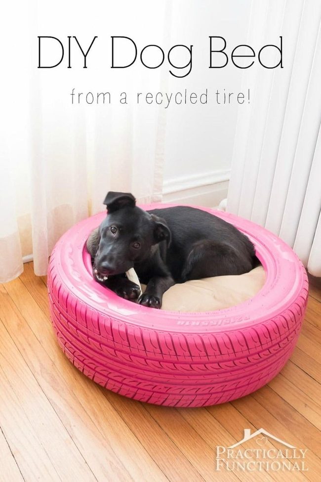 Painted Tire Dog Nest