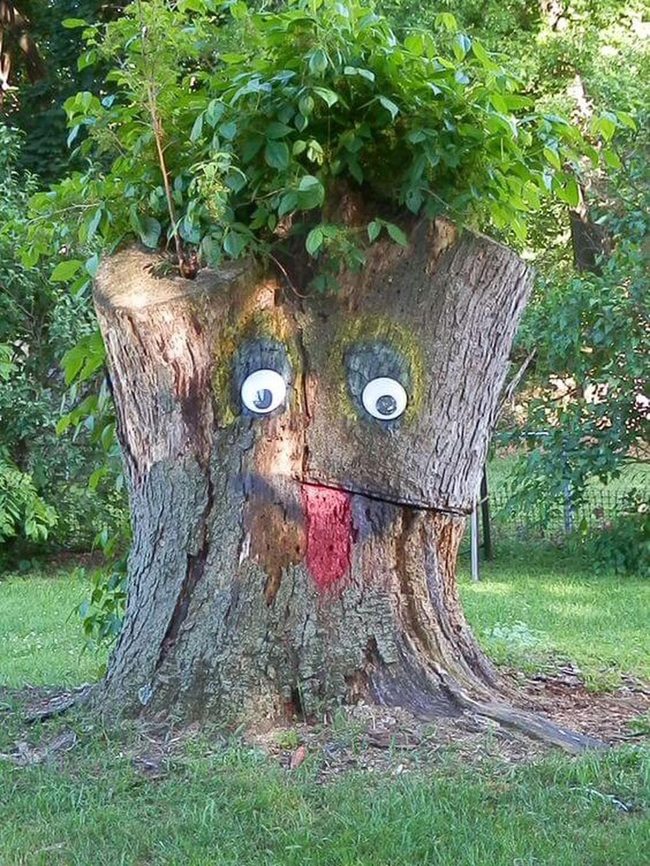 Stump Characters With Green Crowns