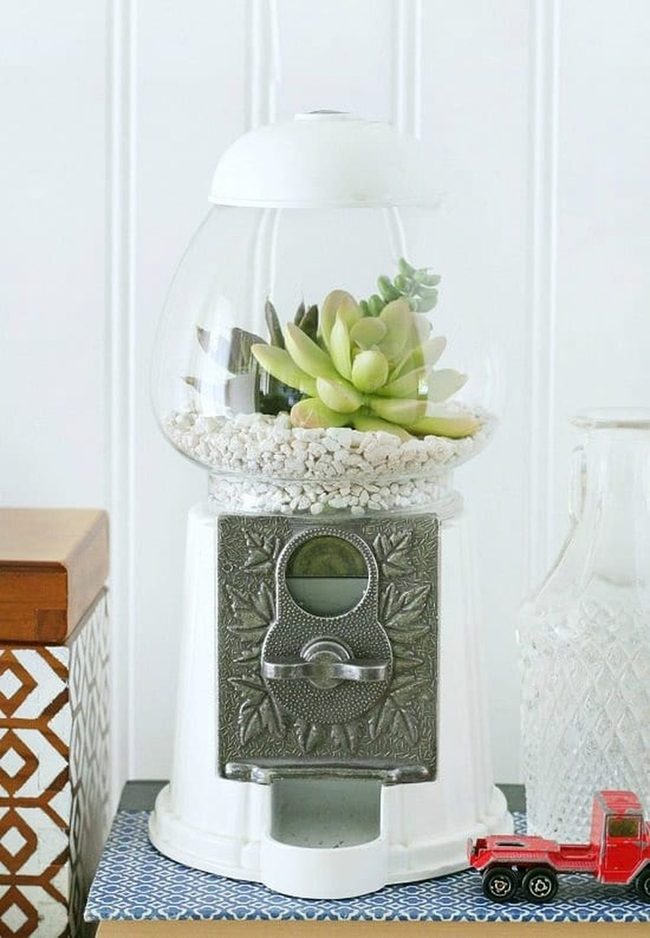 Vintage Glass Gumball Succulent Planters