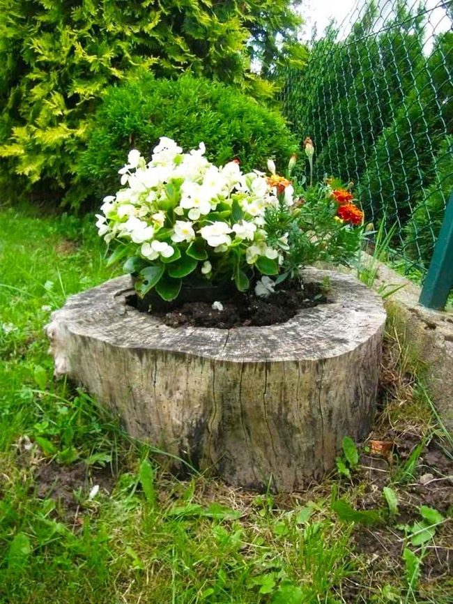 Hollow Stump Flower Cascade