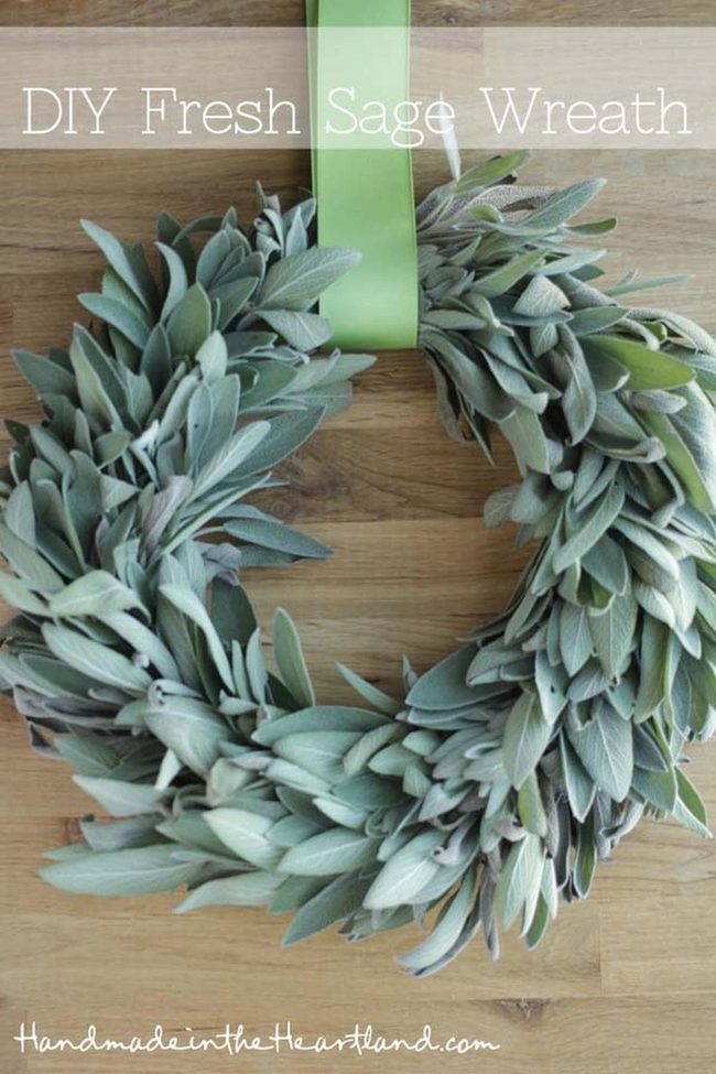 Soft Green Sage Mini Wreaths