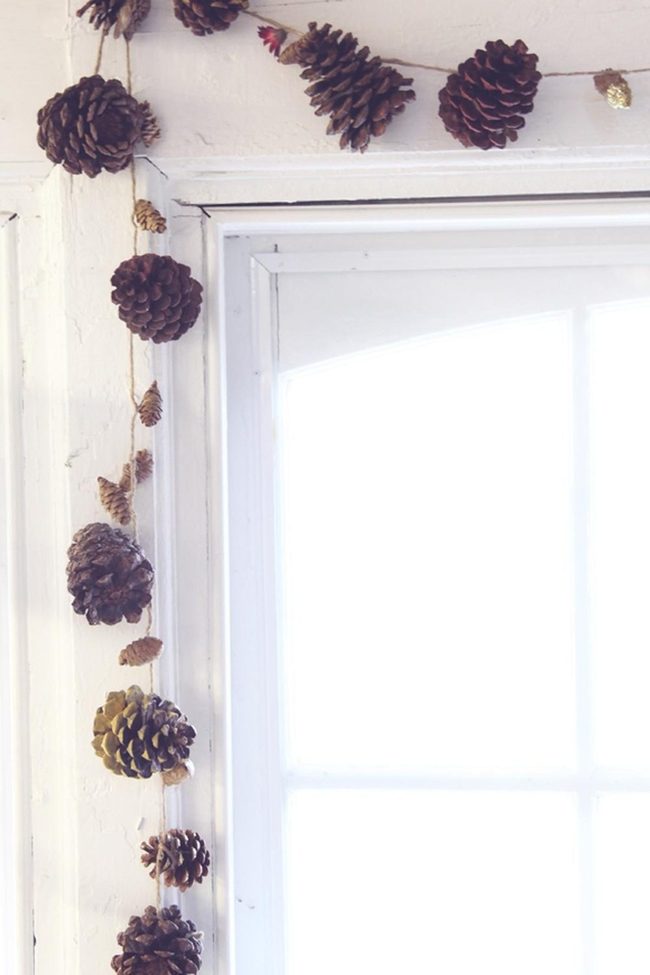 Sunlit Pinecone Window Cascade