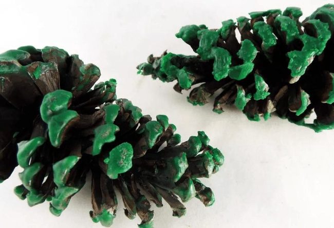 Emerald Pine Cones Modern Art