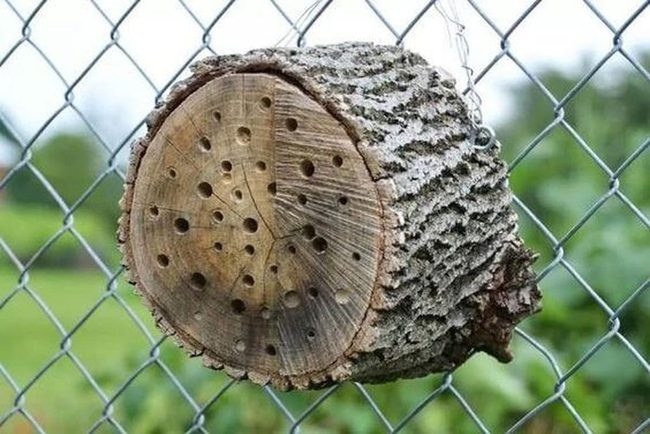Wooden Insect Hotel Structure