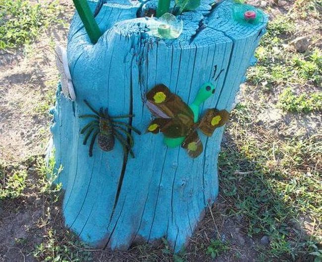 Blue Stump Animal Gallery