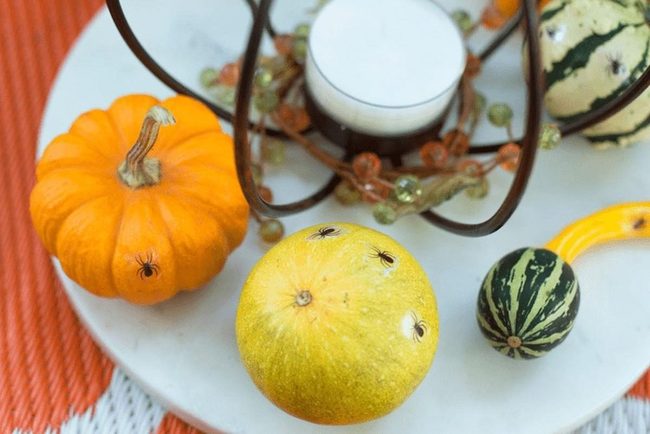 Autumn Gourds With Sparkle
