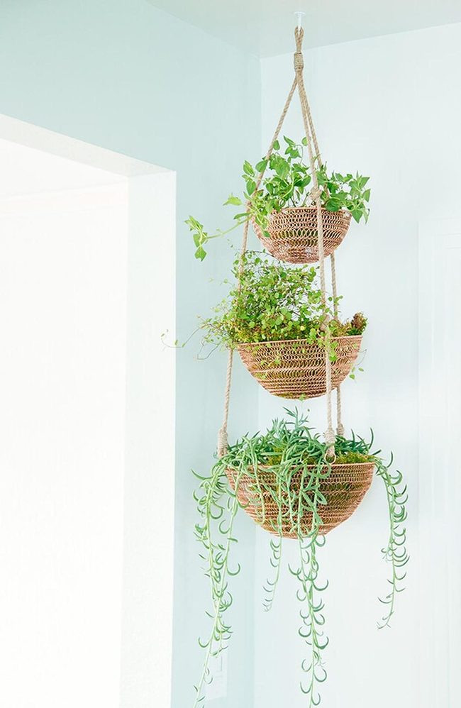 Cascading Green Wall Layers