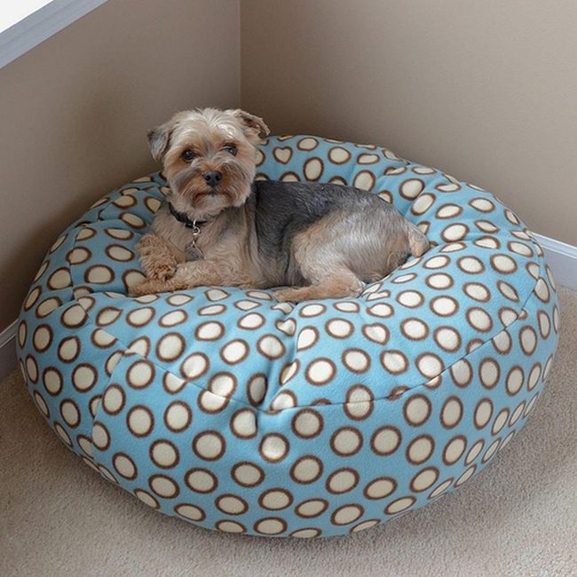 Blue Polka Dot Dog Retreat