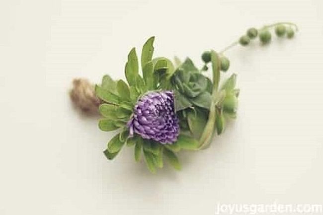 Purple Succulent Wedding Pins