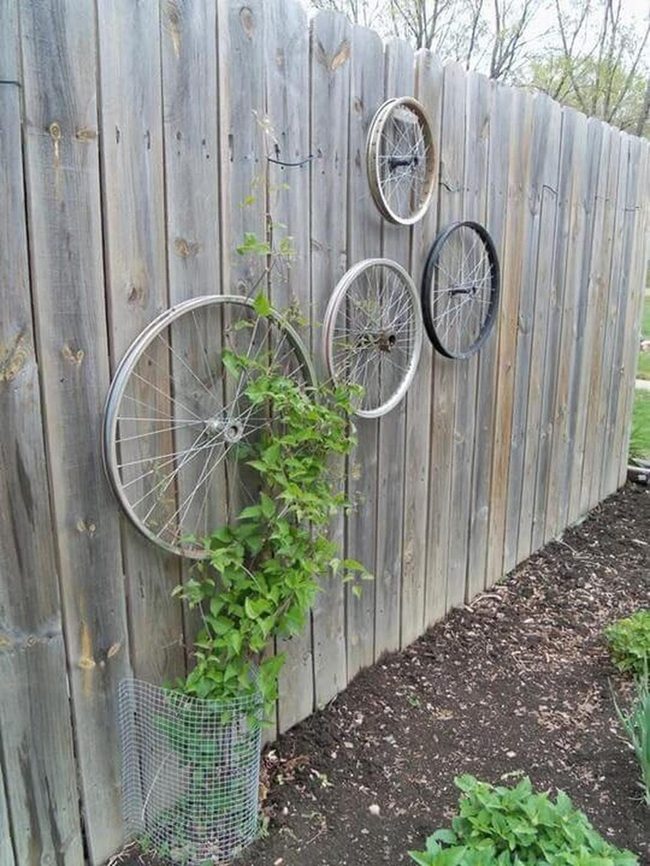 Bicycle Wheels Living Green Wall