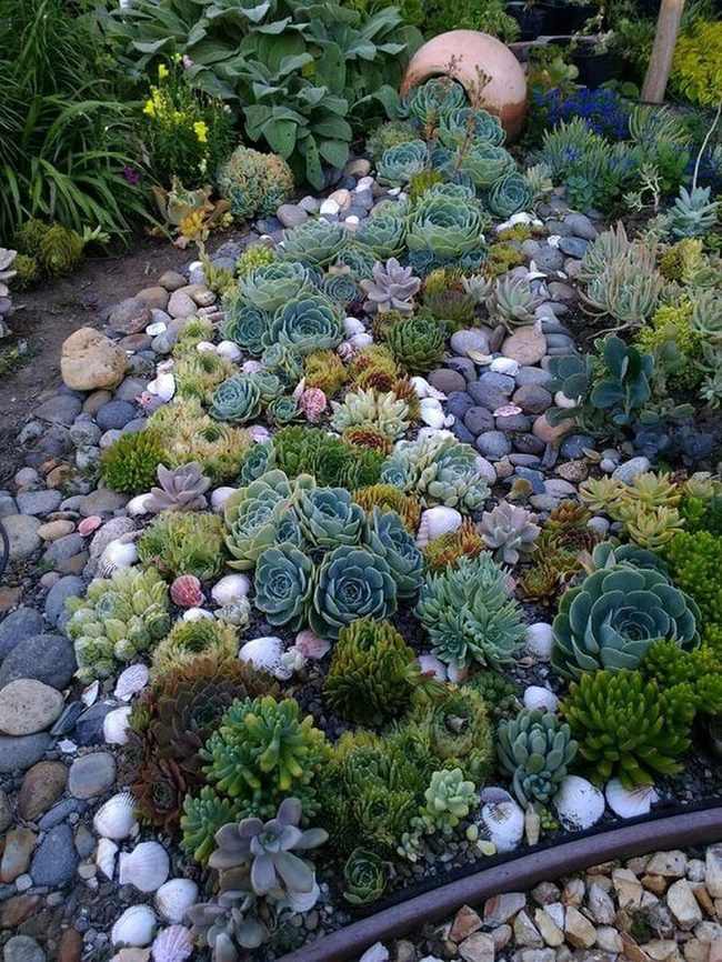 Green Succulents Spilling Over Stone