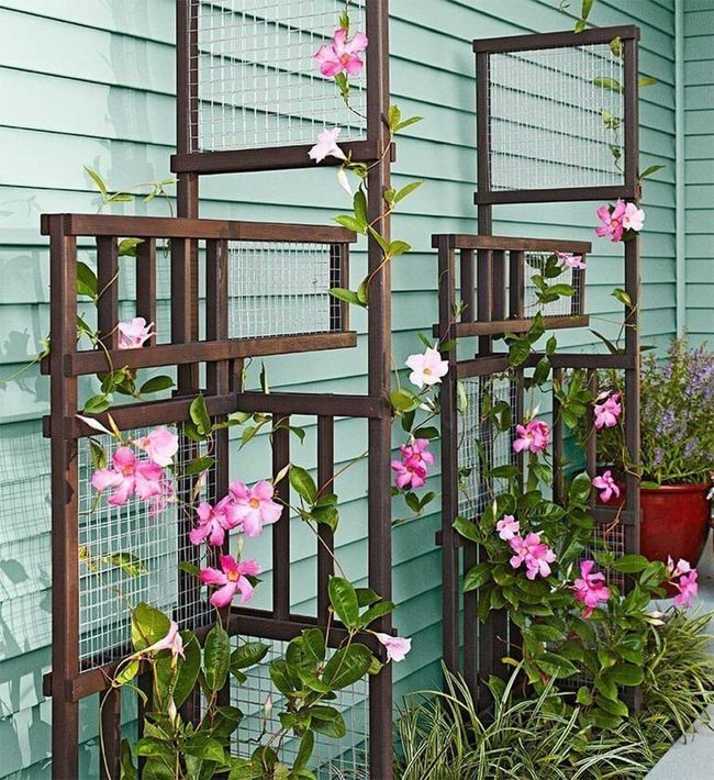 Asymmetrical Wood And Wire Trellis