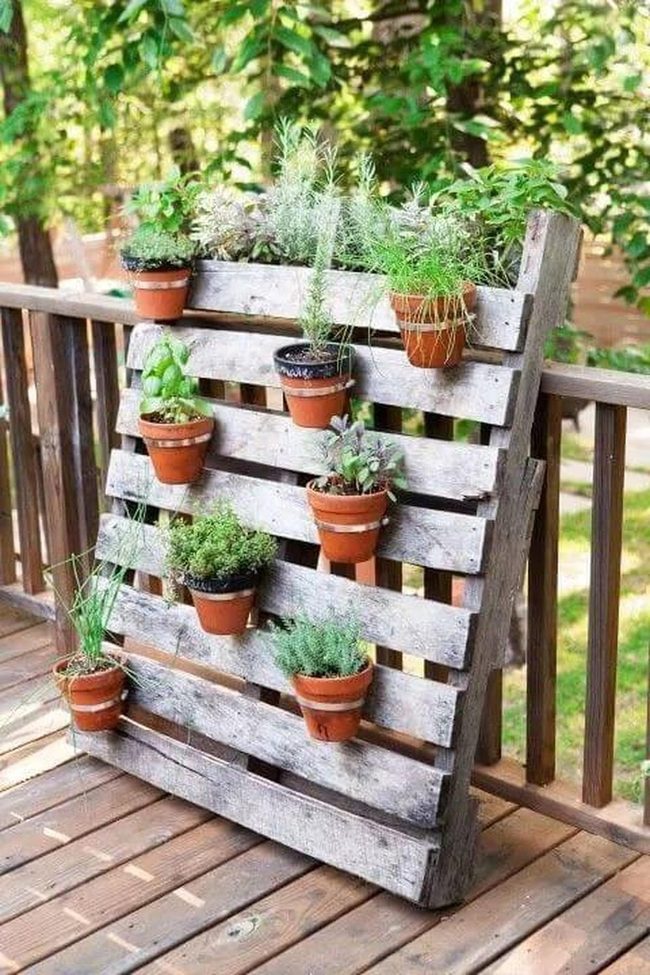 Wooden Pallets With Fragrant Herbs