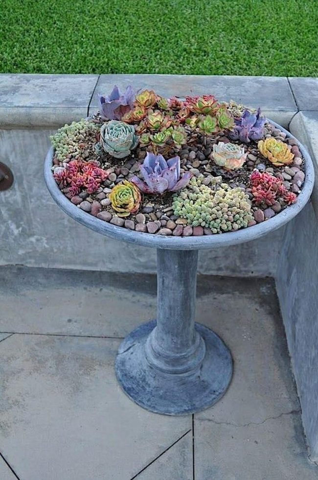 Gray Pedestal Succulents And Pebbles