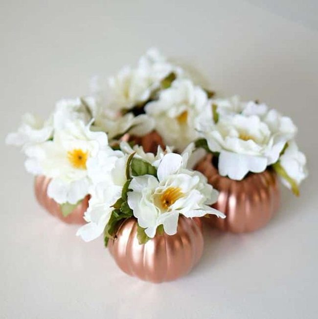 Copper Pumpkins With White Flowers