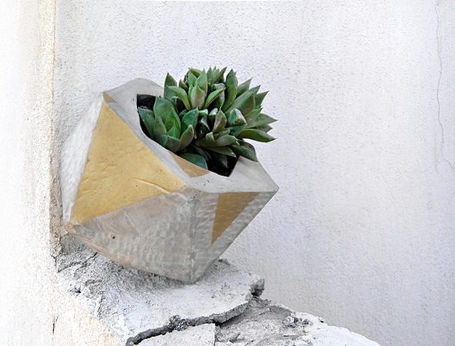 Silver Succulent On Concrete