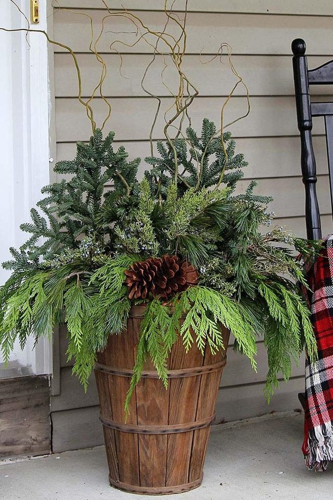 Wooden Pot Holly Greens Entry