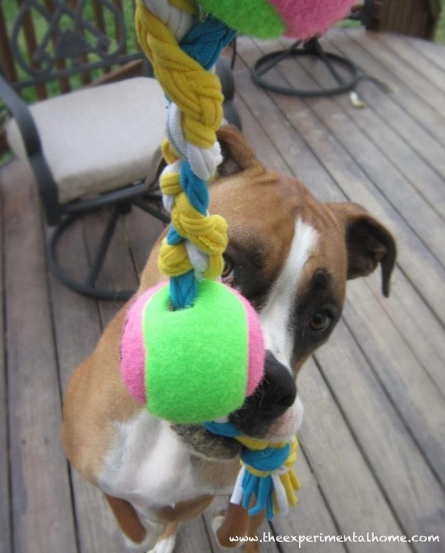 Rainbow Rope Tug Toys For Dogs