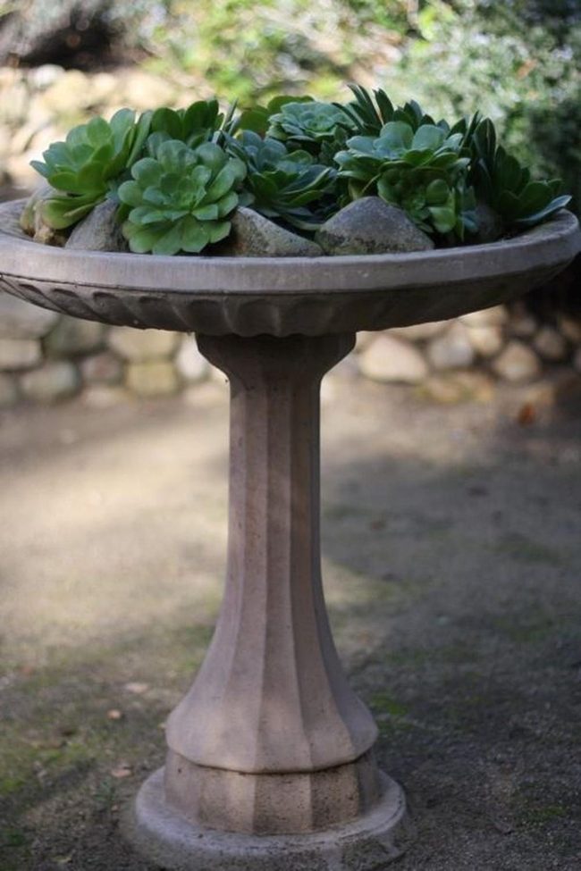 Stone Bowl Succulent Centerpiece