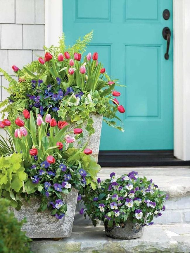 Concrete Planters Define Modern Entryways
