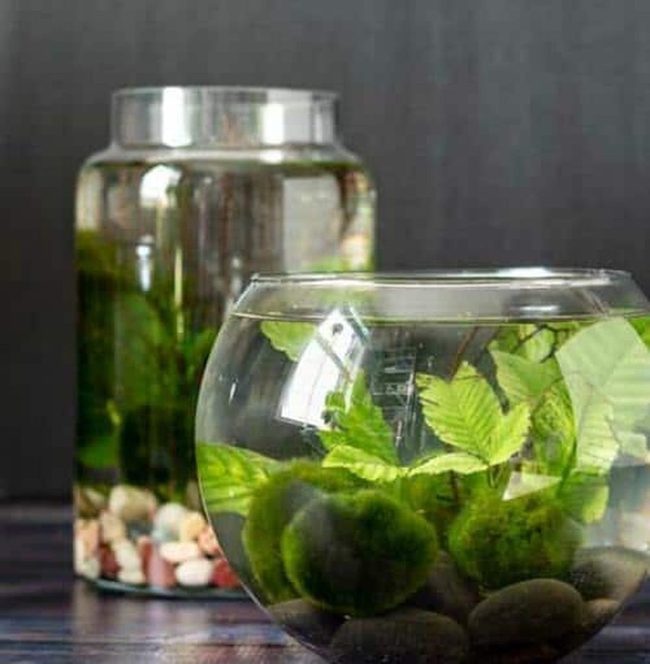 Floating Green Spheres In Glass