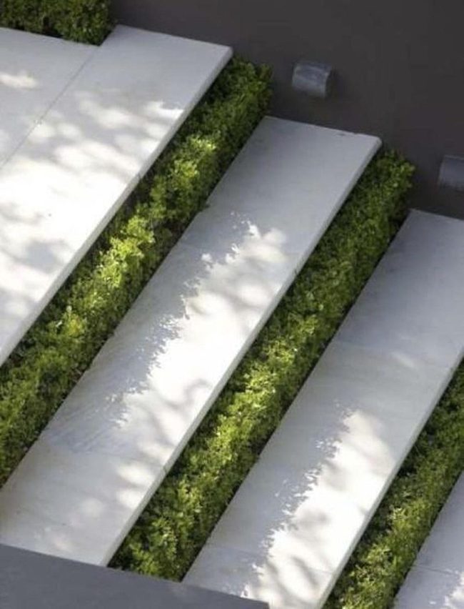White Concrete Steps With Green Accents