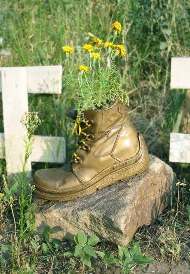 Wildflower Boot Garden